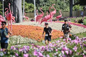 BIB: 
                            <button type="button" onclick="openModal(27793871)" class="btn btn-primary btn-sm float-right btn-popup" data-toggle="modal" data-target=".modal-high-quality">
                        <i class="fas fa-shopping-cart"></i> Add to Cart
                    </button>
                                            <button type="button" onclick="isThisMe(27793871, true)" class="btn btn-success btn-sm float-right btn-popup btn-isme hidden" data-toggle="tooltip" data-placement="bottom" title="นี่คือรูปของคุณใช่ไหม คลิกที่นี่เพื่อเอาเข้าอัลบั้ม">
                        <i class="fas fa-plus"></i> Add to album
                    </button>
                    <button type="button" onclick="isThisMe(27793871, false)" class="btn btn-warning btn-sm float-right btn-popup btn-isnotme hidden">
                        <i class="fas fa-ban"></i> Remove from album
                    </button>